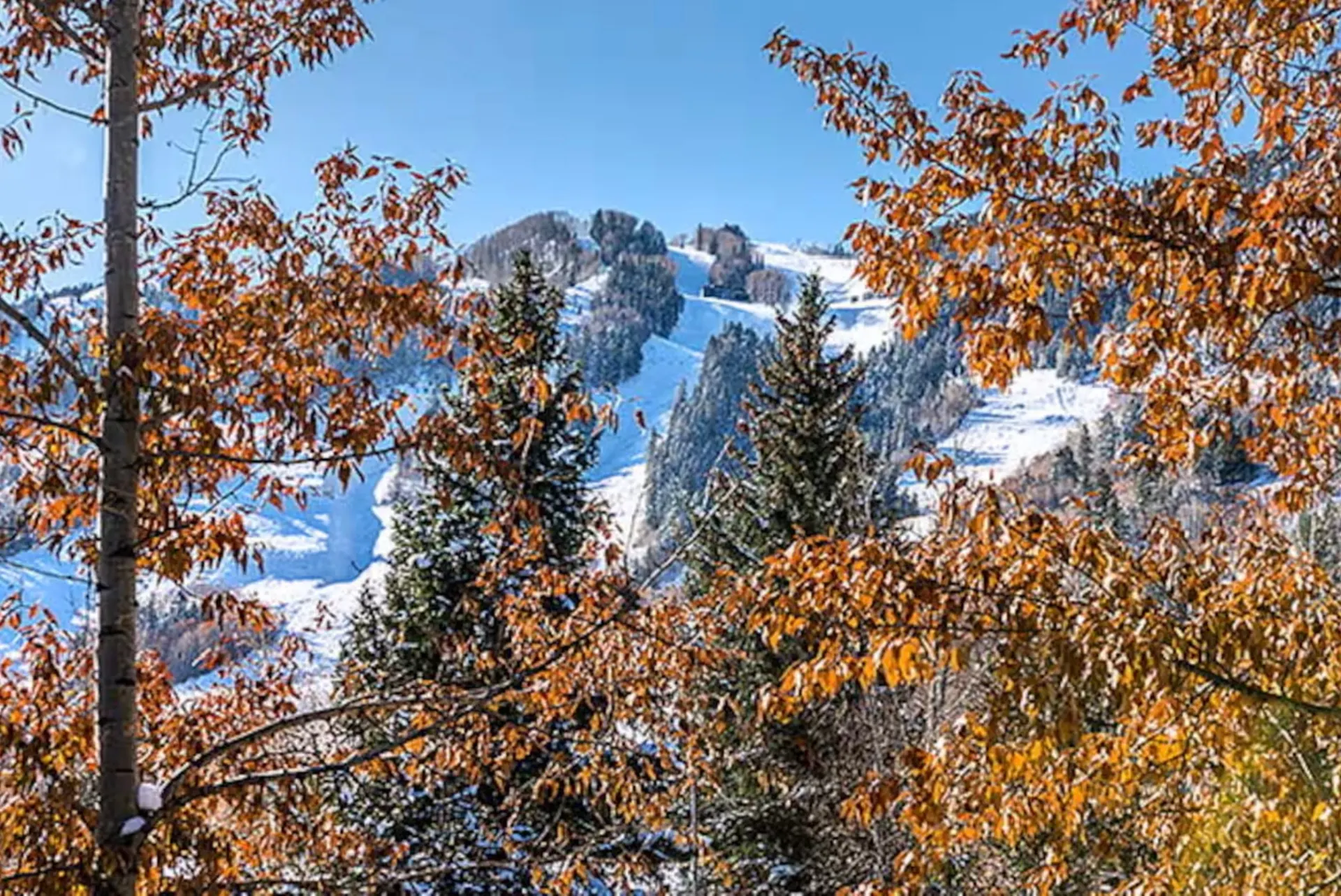 Aspen Mountain through fall foliage